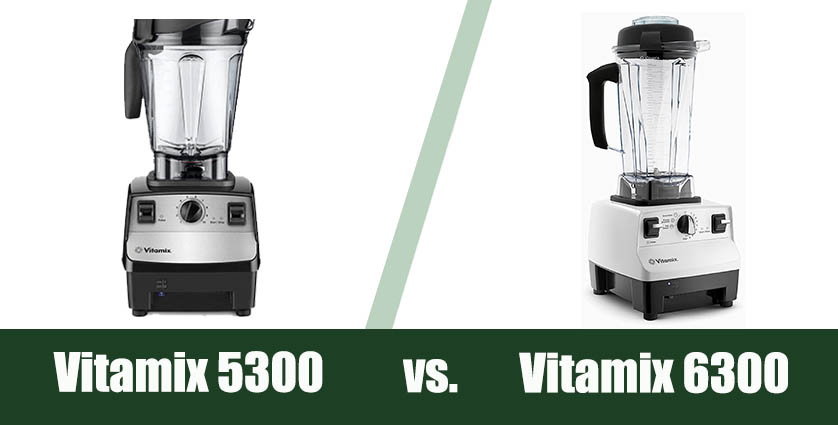 Vitamix 5300 vs 6300