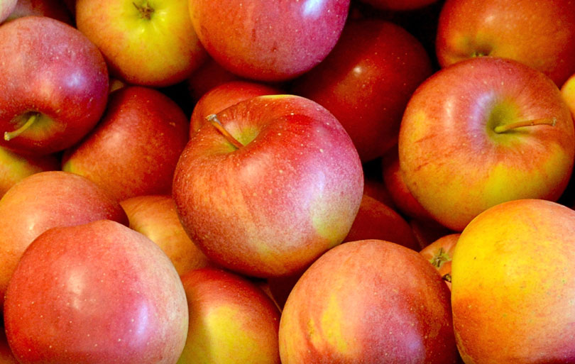 Winesap Apples