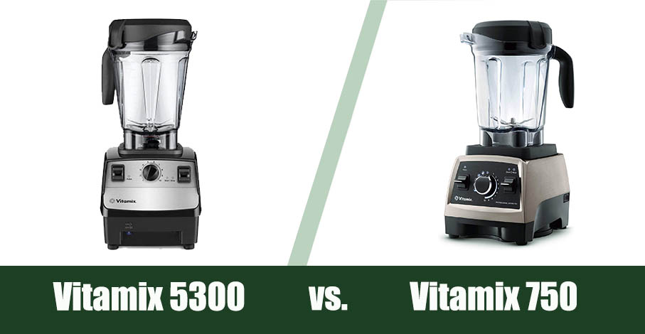 Vitamix 5300 vs 750
