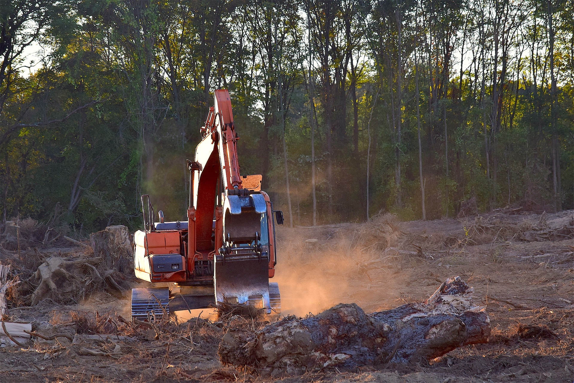 Forest Construction