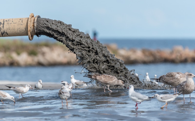 sludge pollution being dumped into the waters of the Baltic sea