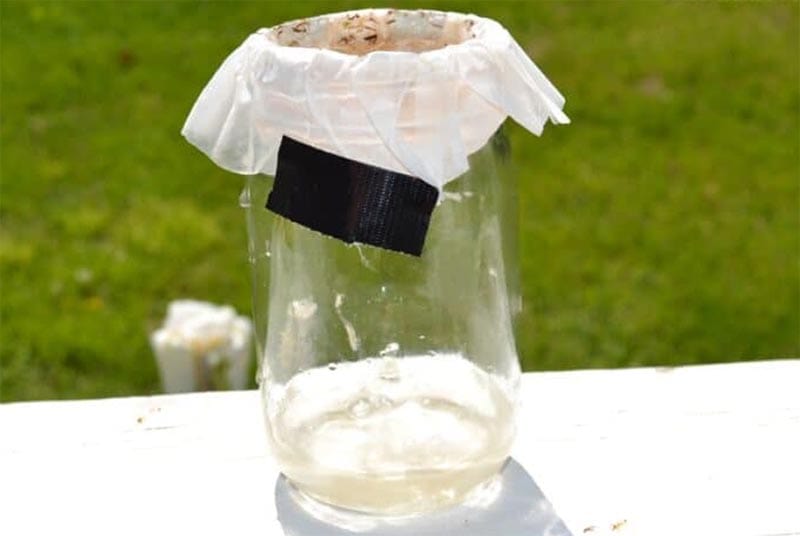 Solar Disinfection and Filtered Water