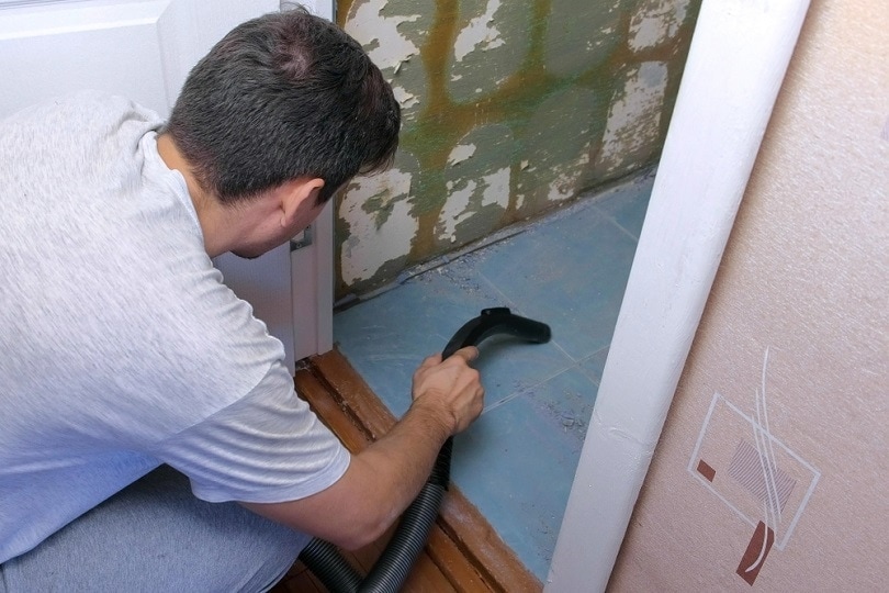 Cleaning house toilet bathroom vacuum_Vadim Zakharisnchev_shutterstock
