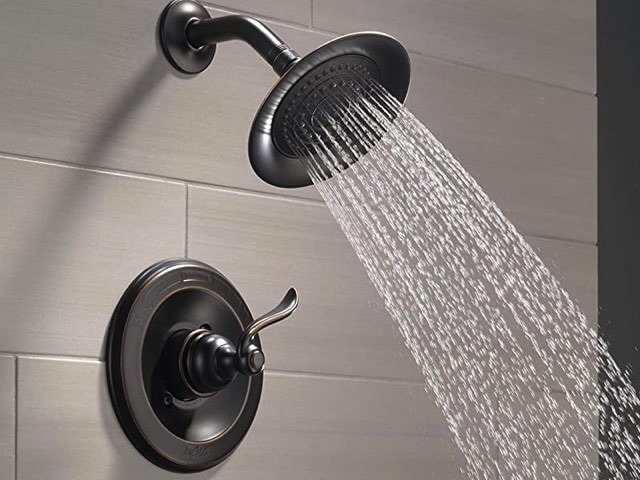 Delta Faucet Windemere Single-Function Shower