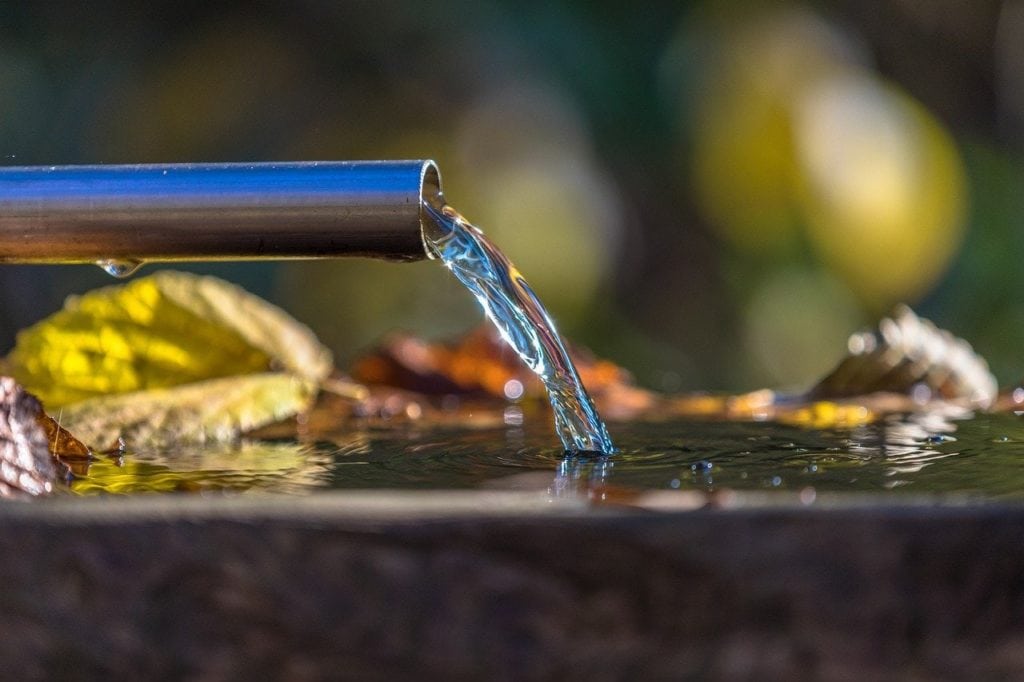 Drinking water