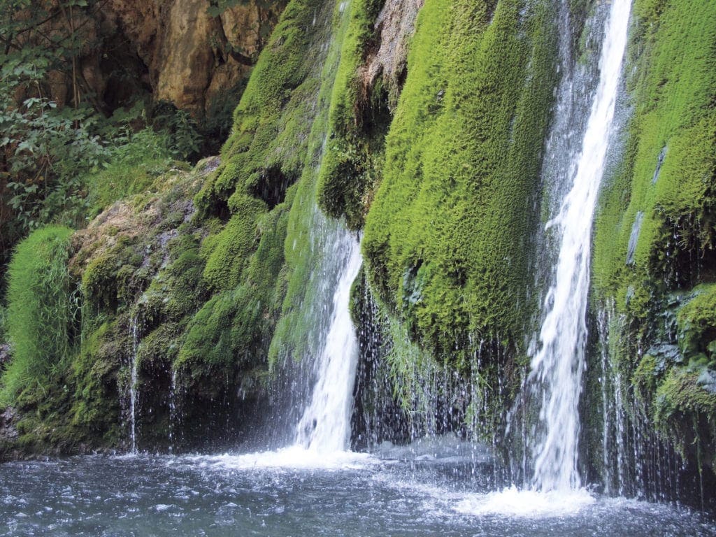 Drinking water in the nature