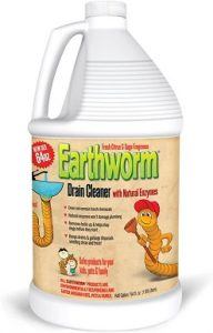Earthworm-192x300