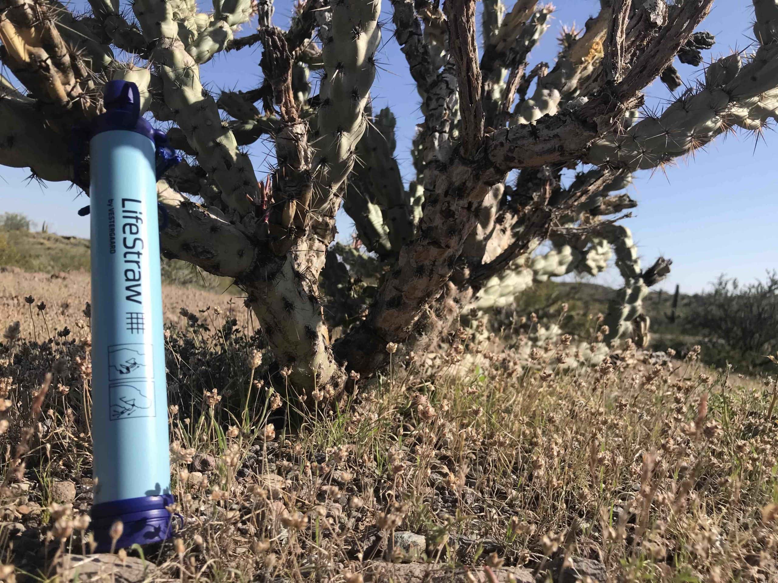 LifeStraw Personal Water Filter