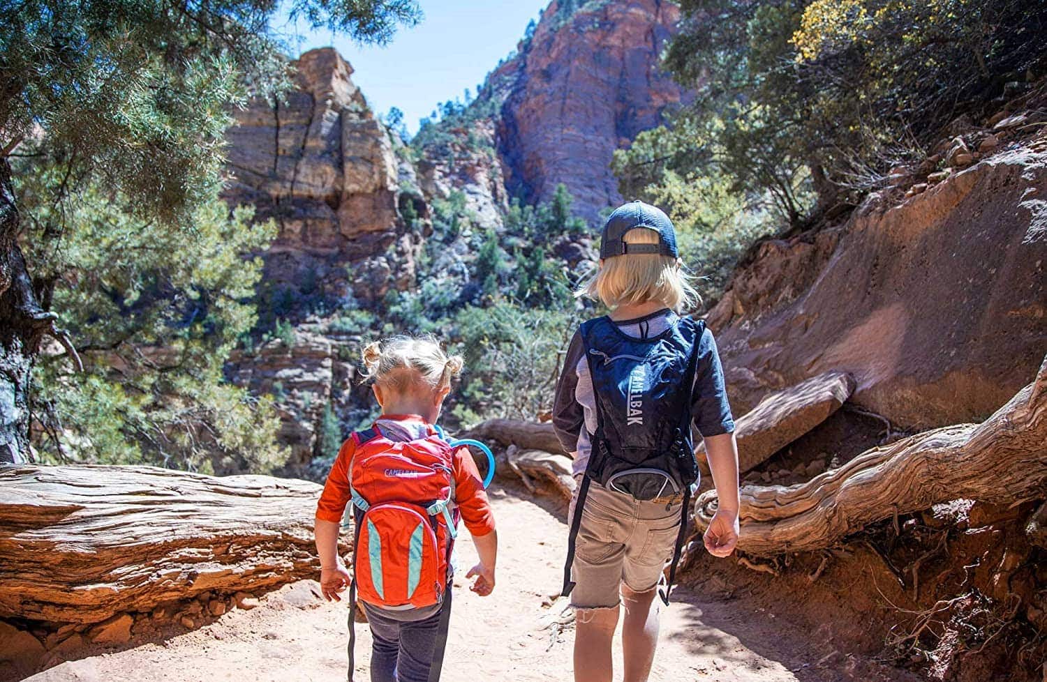 Mini Hydration Backpack-CamelBak-MULE-Amazon