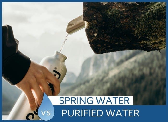 Spring Water vs Purified Water