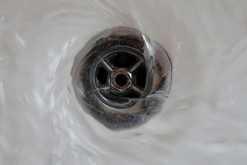 drain-Semevent-pixabay