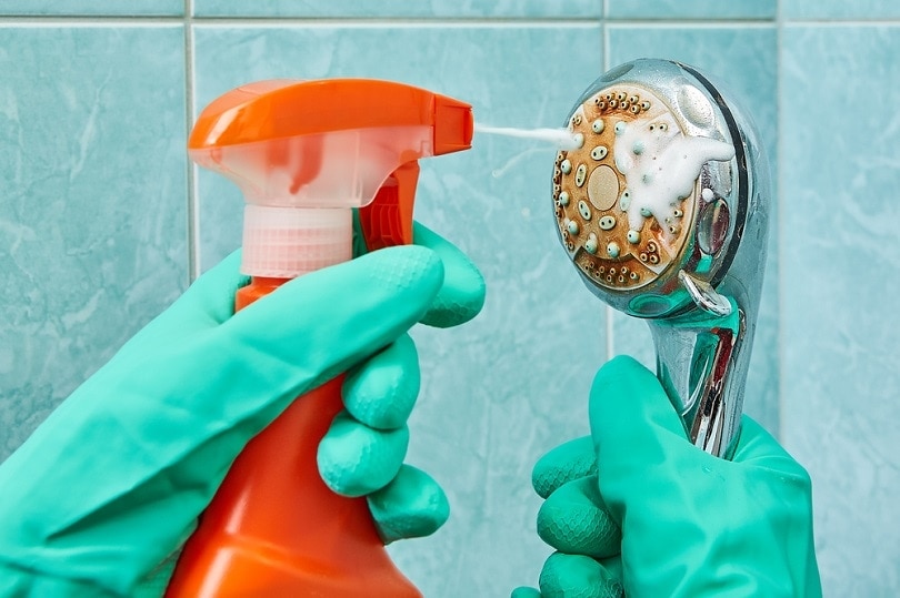 green rubber protective gloves wash the head of the shower_Grigvovan_shutterstock
