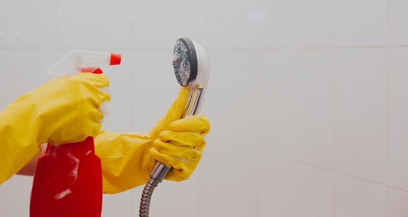 rubber gloves cleaning the shower head_G Tbov_shutterstock