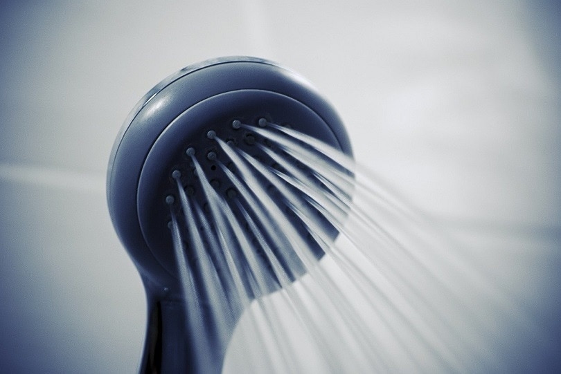 Handheld Shower Head