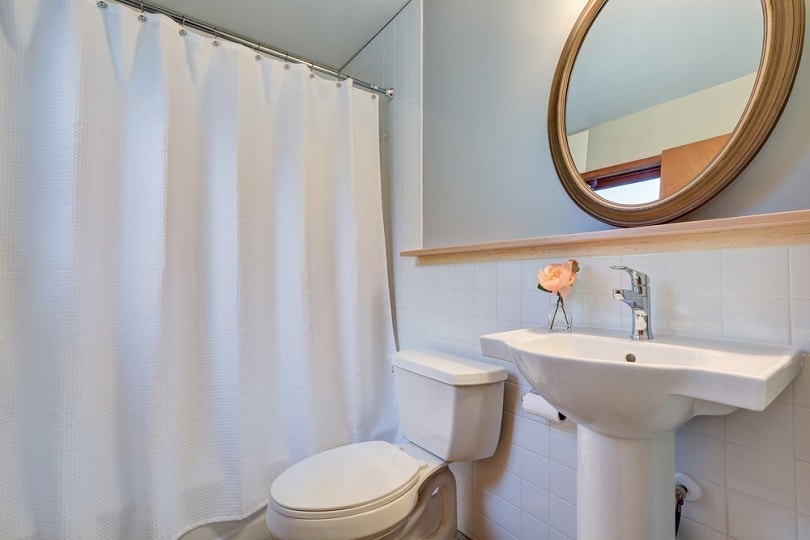 shower curtain