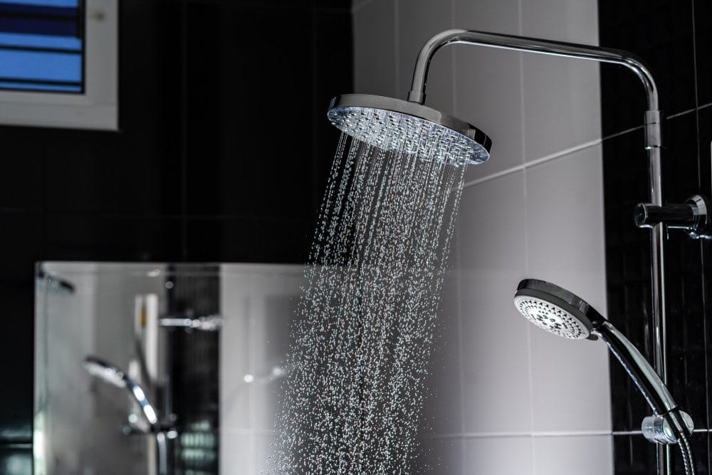 types of shower heads dual