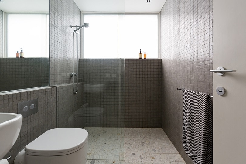 walk in shower frameless_shutterstock