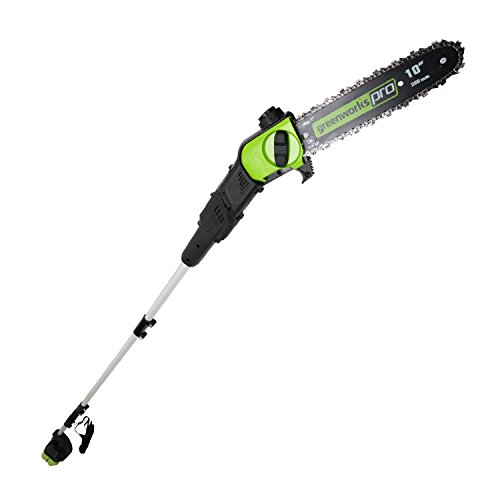 Greenworks pole saw