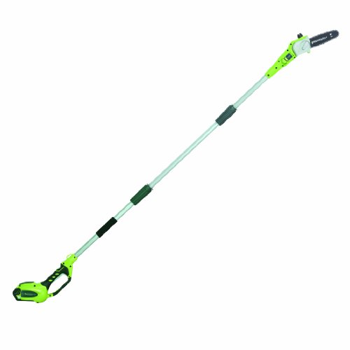 Greenworks 20672