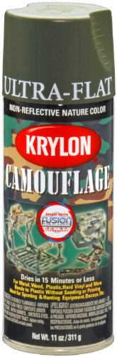 Krylon K04293007