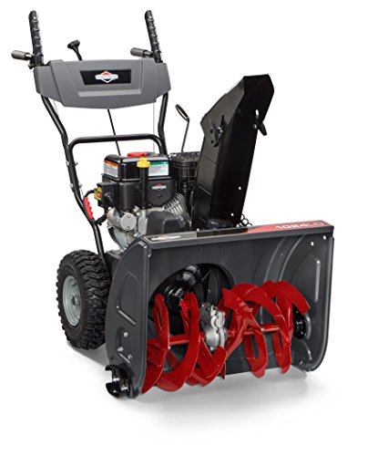 Briggs & Stratton 1696610