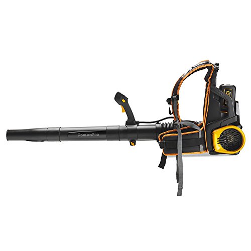 Poulan Pro PRBP675i