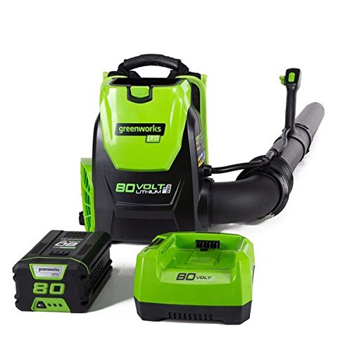 Greenworks BPB80L2510 Cordless Backpack Blower