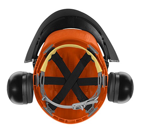 Interior of chainsaw helmet