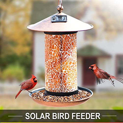 Artbirdfeeder Solar Bird Feeder Hanger, Solar Lantern Powered Oriole Bird Feeder Bright Lighting Hanging Bird