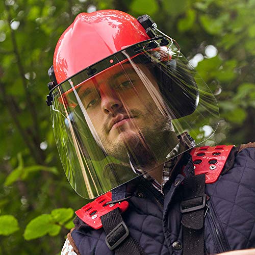 Man wearing chainsaw helmet