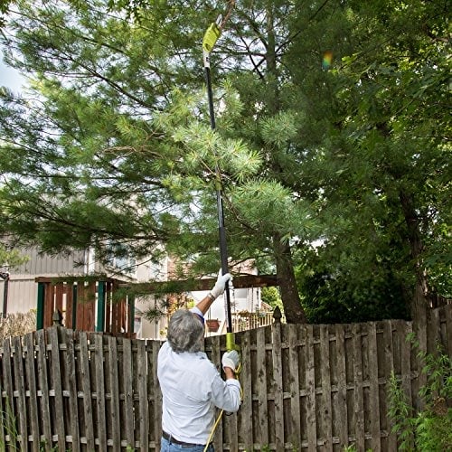 Using a gas pole saw