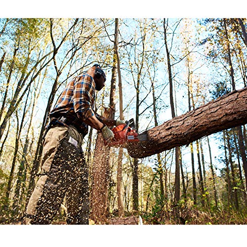 cutting down a tree with a chainsaw