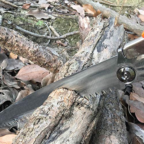 cutting a branch with a saw