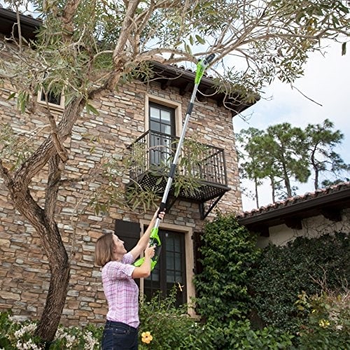 using a pole saw