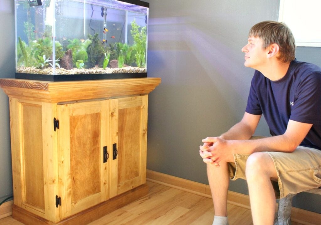Aquarium cabinet
