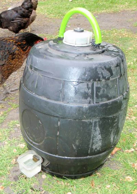 Automatic Feeder Waterer