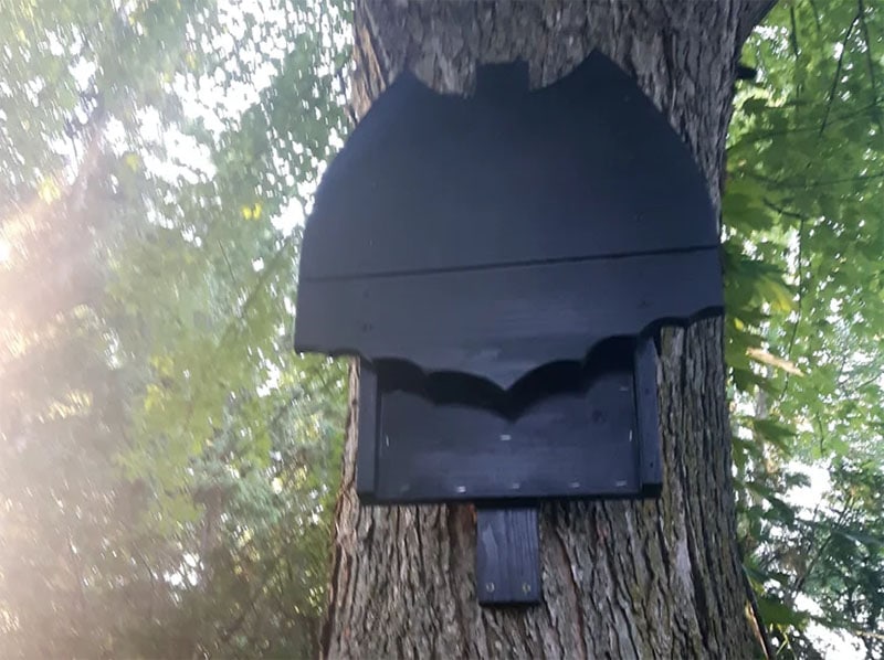 Batman Logo Bat Box Design From Instructables