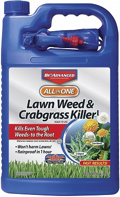 Bayer Advanced All in One