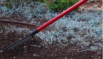 Best Bow Rakes