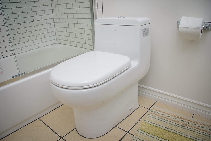 Best Eago Toilet