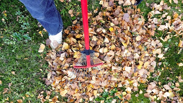 Best Rakes