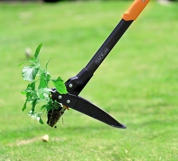 Best Weed Remover & Puller