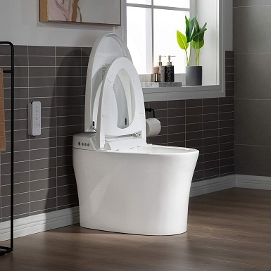 Best Woodbridge Toilet
