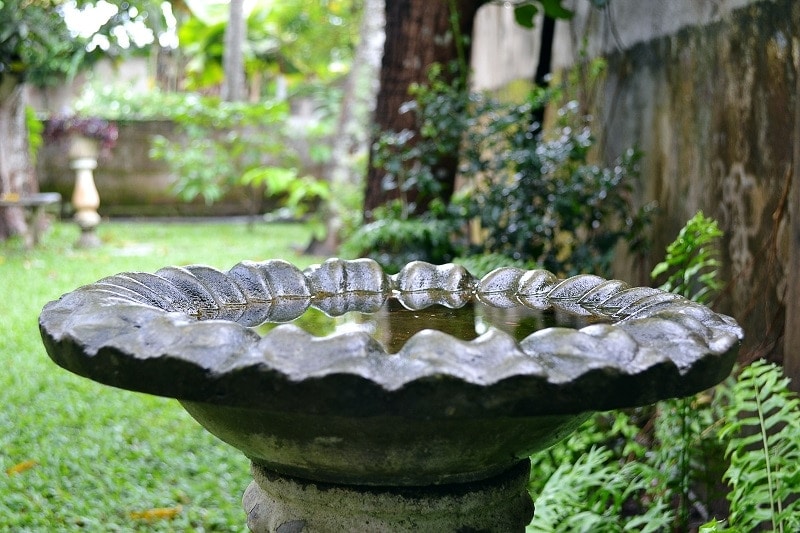 Birdbath