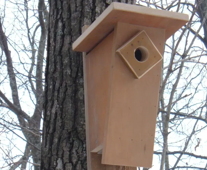 Bluebird birdhouse