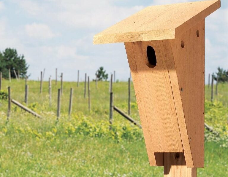Bluebird house