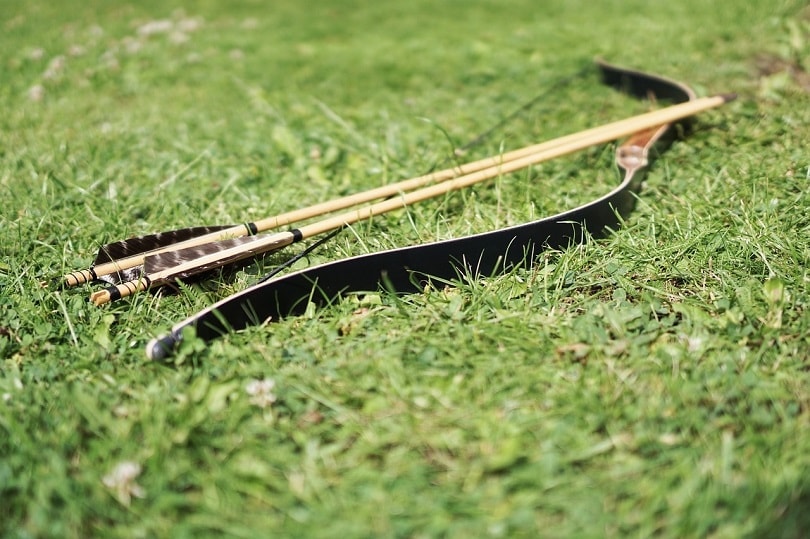 Bow and arrows