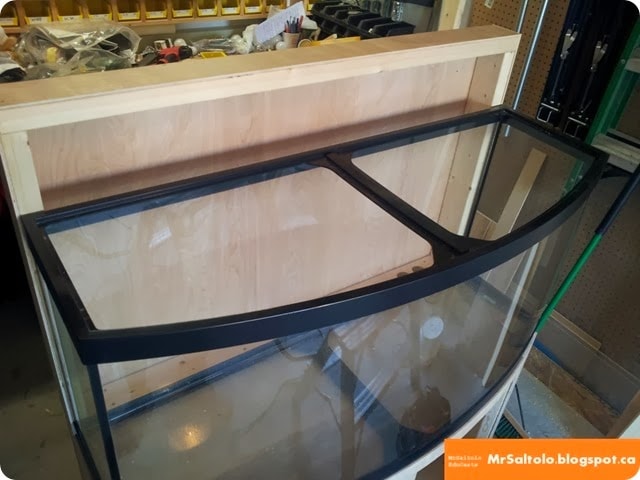 Bowfront aquarium stand