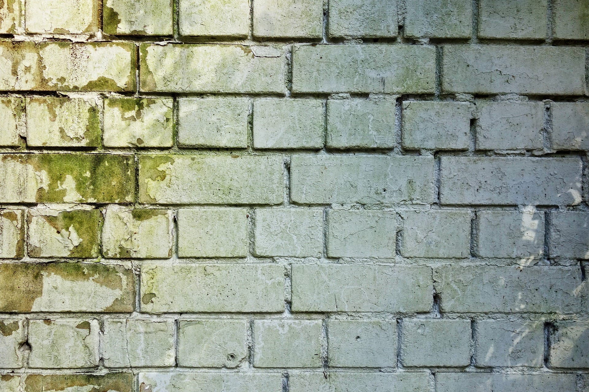 Brick molds