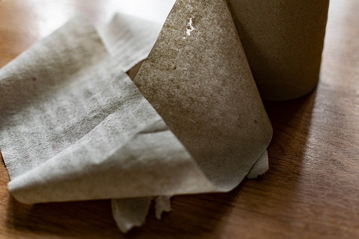 Brown Toilet Paper_shutterstock_Anna-2118